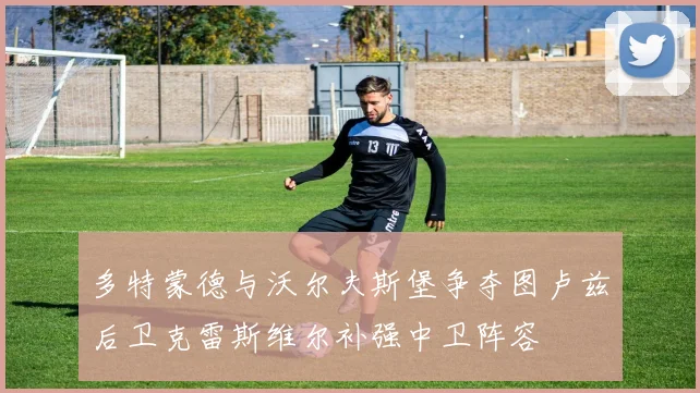 多特蒙德与沃尔夫斯堡争夺图卢兹后卫克雷斯维尔补强中卫阵容