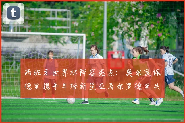 西班牙世界杯阵容亮点：奥尔莫佩德里携手年轻新星亚马尔罗德里共赴荣耀之战